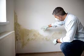 Dresden, OH Mold Prevention & Removal  Company